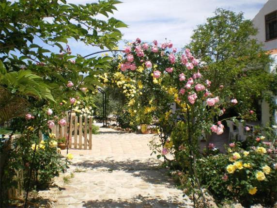 Casas Rurales Cazorla-Alcon โปโซอัลกอน ห้อง รูปภาพ