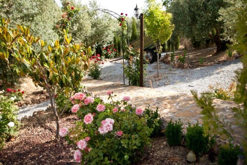 Casas Rurales Cazorla-Alcon โปโซอัลกอน ห้อง รูปภาพ
