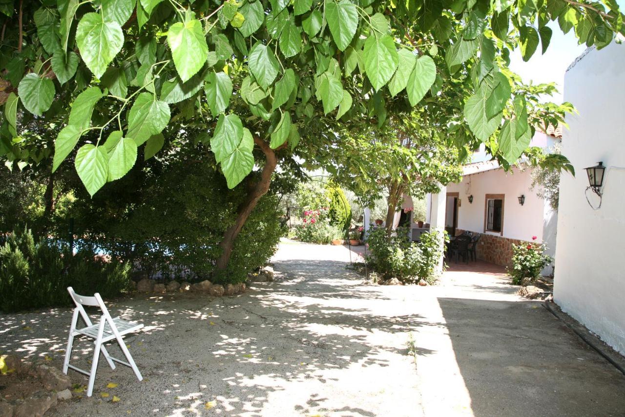 Casas Rurales Cazorla-Alcon โปโซอัลกอน ภายนอก รูปภาพ